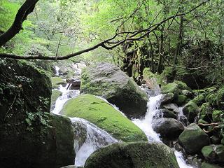 �g���b�L���O
